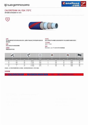 蒸汽胶管-纺织线加固 FDA-7BAR【品牌：意大利TGT(Tubi Gomma Torino)】