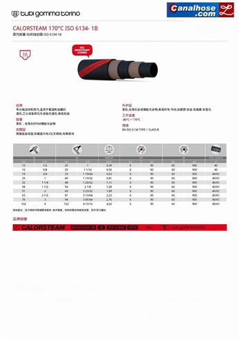 蒸汽胶管-纺织线加固 ISO 6134-1B【品牌：意大利TGT(Tubi Gomma Torino)】