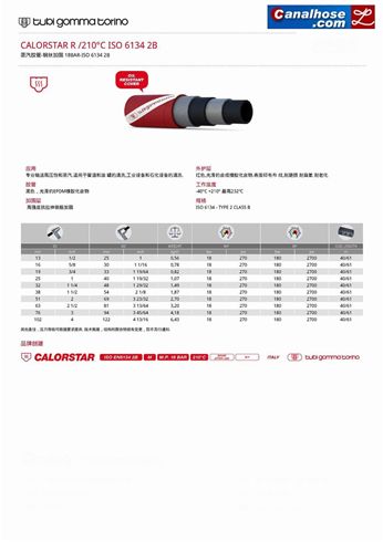 蒸汽胶管-钢丝加固 18BAR-ISO 6134 2B