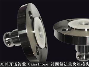 Canalhose 衬四氟法兰快速接头