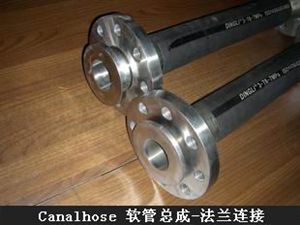 canalhose软管总成-法兰连接